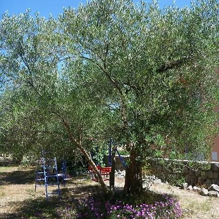 Garden Braut Daire Kornić