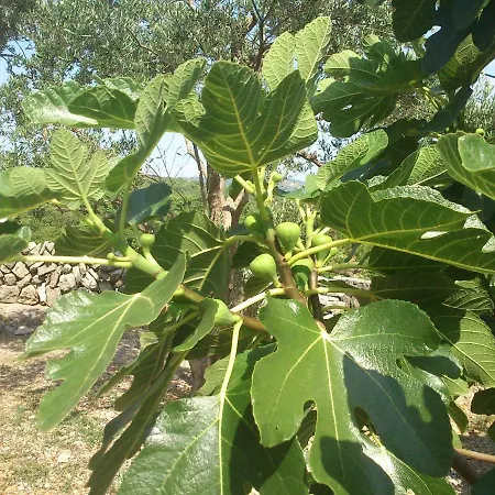 Garden Braut Апартаменты *