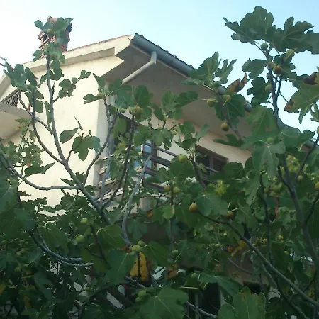 Garden Braut * Kornić