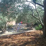 Garden Braut Kornić