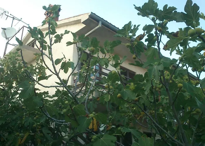 Garden Braut * Kornić